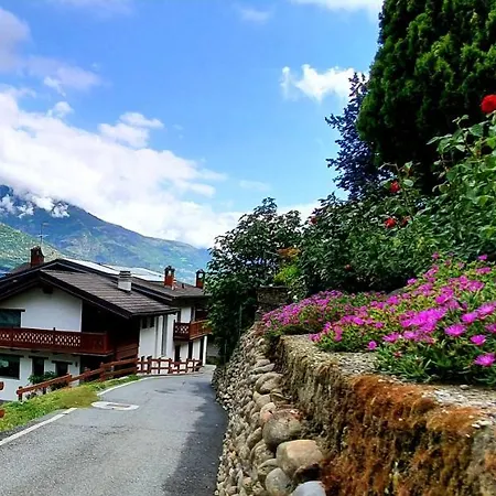 Chèvres à Cheval Charvensod