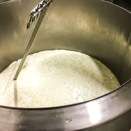 Chèvres à Cheval Bed & Breakfast