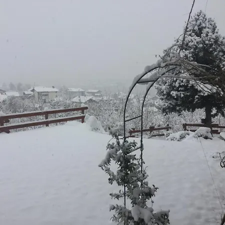 Chèvres à Cheval 4*