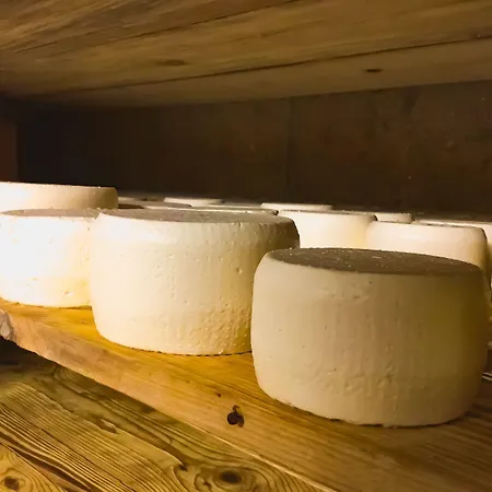 Bed & Breakfast Chèvres à Cheval 4*