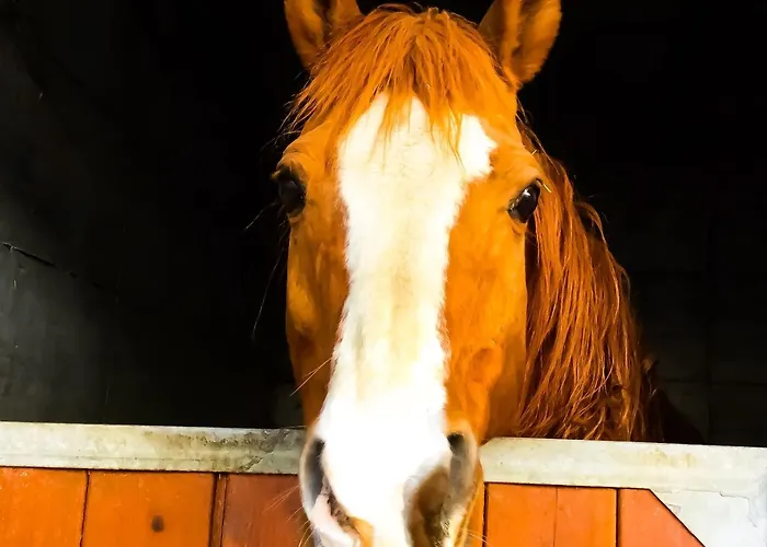 Panzió Chevres A Cheval 4*